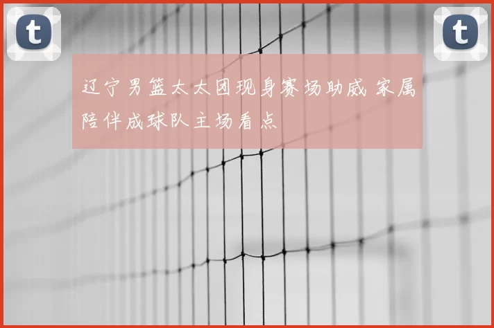 辽宁男篮太太团现身赛场助威 家属陪伴成球队主场看点