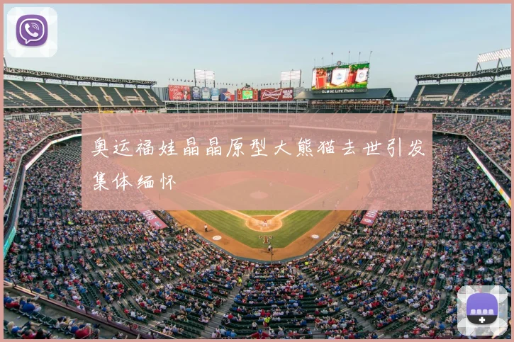 奥运福娃晶晶原型大熊猫去世引发集体缅怀