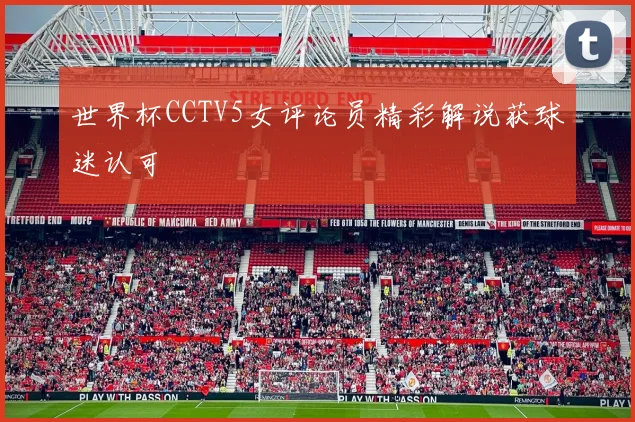 世界杯CCTV5女评论员精彩解说获球迷认可