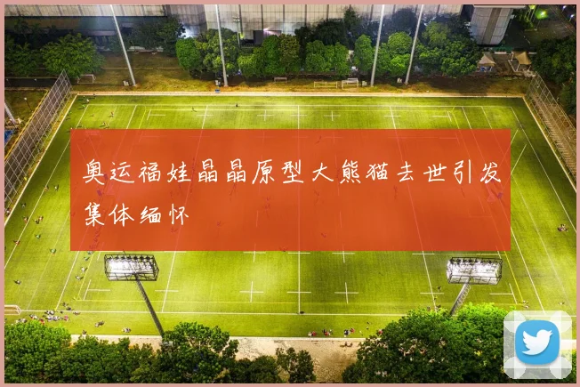 奥运福娃晶晶原型大熊猫去世引发集体缅怀